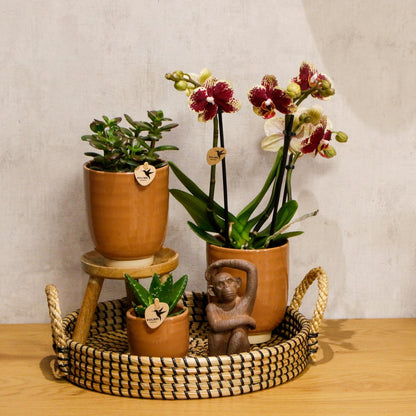 Dienblad rond 30 cm zwart crème