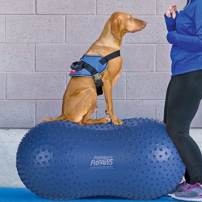 Fitpaws Dierenbalansplatform Trax Peanut 60 cm Blauw