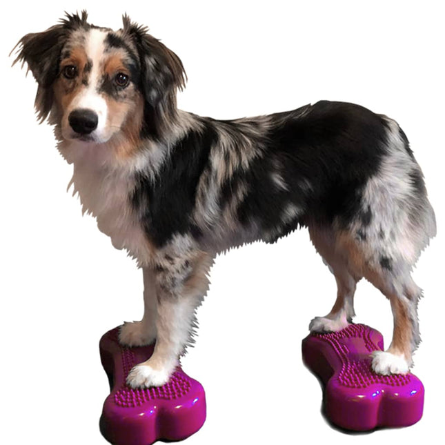 Fitpaws Dierenbalansplatformen 2 St Mini K9Fitbone 29X16,5X6 Cm Roze