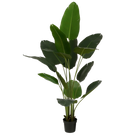 Artificial Banana Tree In Pot Height 180 Cm Green Decorative