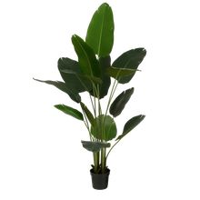 Artificial Banana Tree In Pot Height 180 Cm Green Decorative