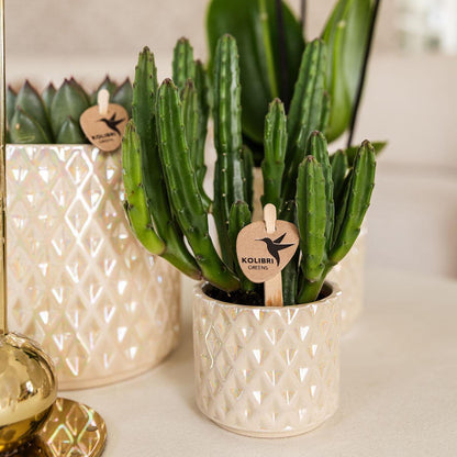 Decorative Pot Diamond Pearl - Ø6 cm