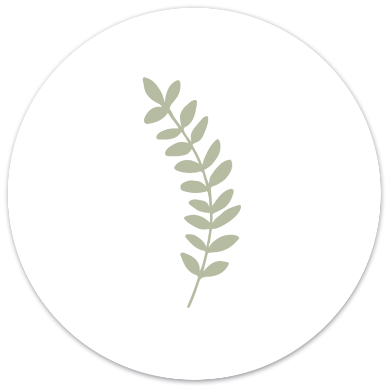 Wall circle green leaf