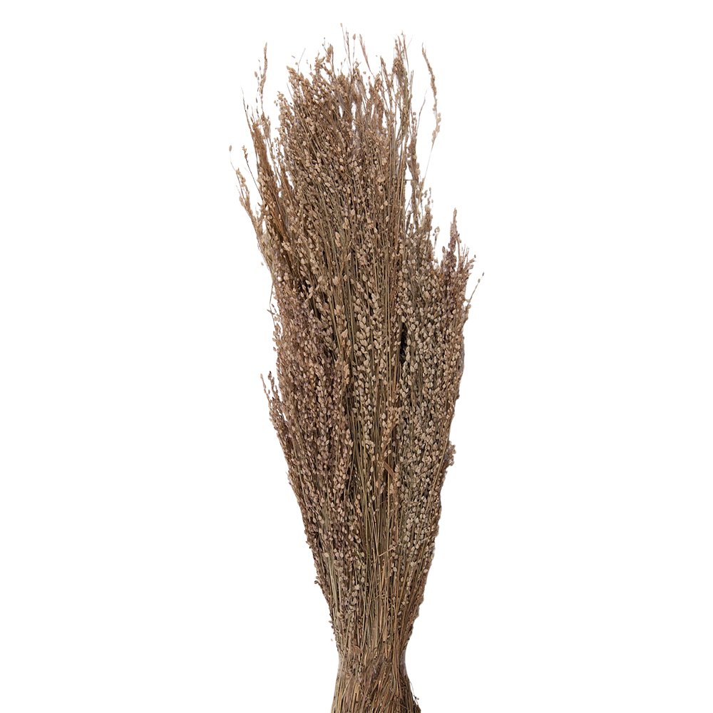 Droogbloemen 55 cm Beige Droogbloemen Droogboeket