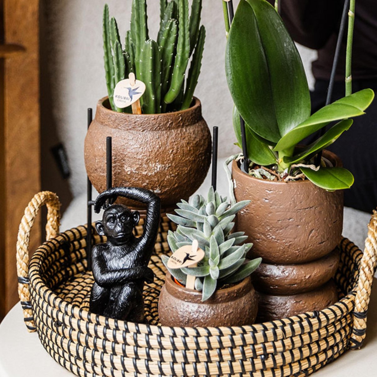 Decoratiebeeld zittende aap 13 cm polystone zwart
