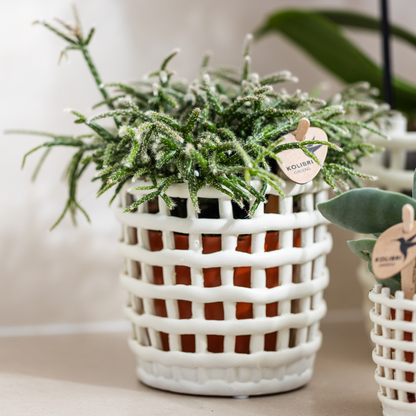 Sierpot keramiek mesh wit set van 3 (6, 9, 12 cm)