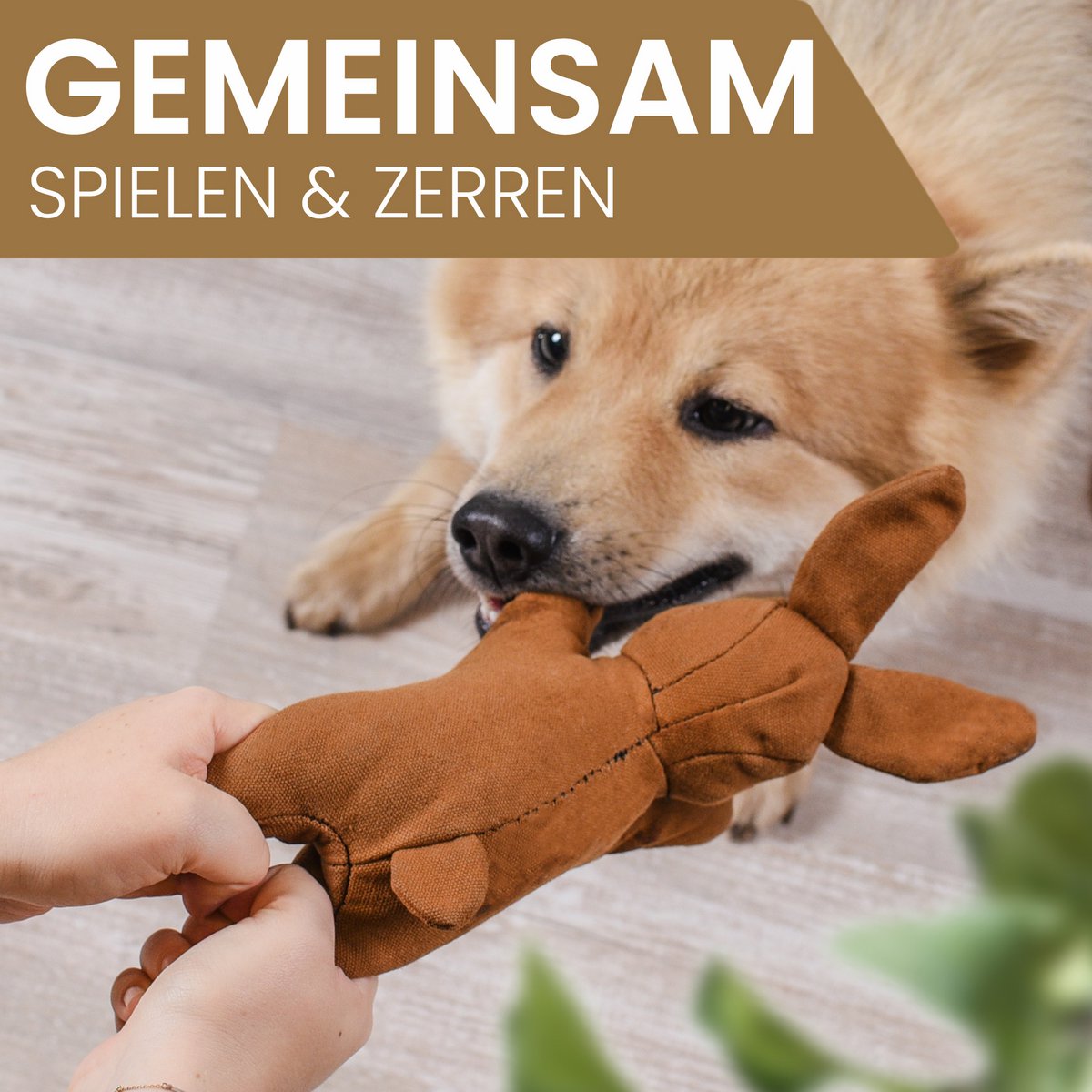 Ne & No Dog Toy - Dog Toy with squeaker - Nimble Rabbit Haru