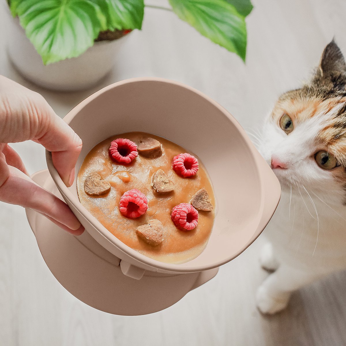 Kattenkom verhoogd verstelbaar siliconen