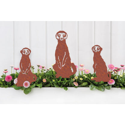 Geluksdieren Stokstaartjes Familie Ricci Ruby Rocky Set 3
