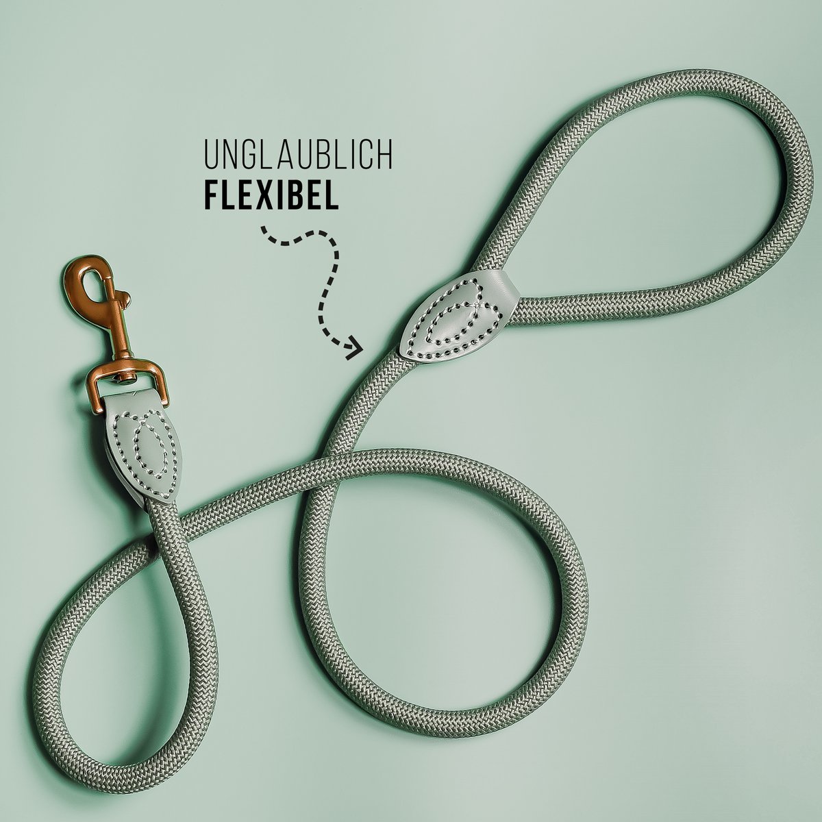 Hondenleiband 120/170 cm leer polyamide