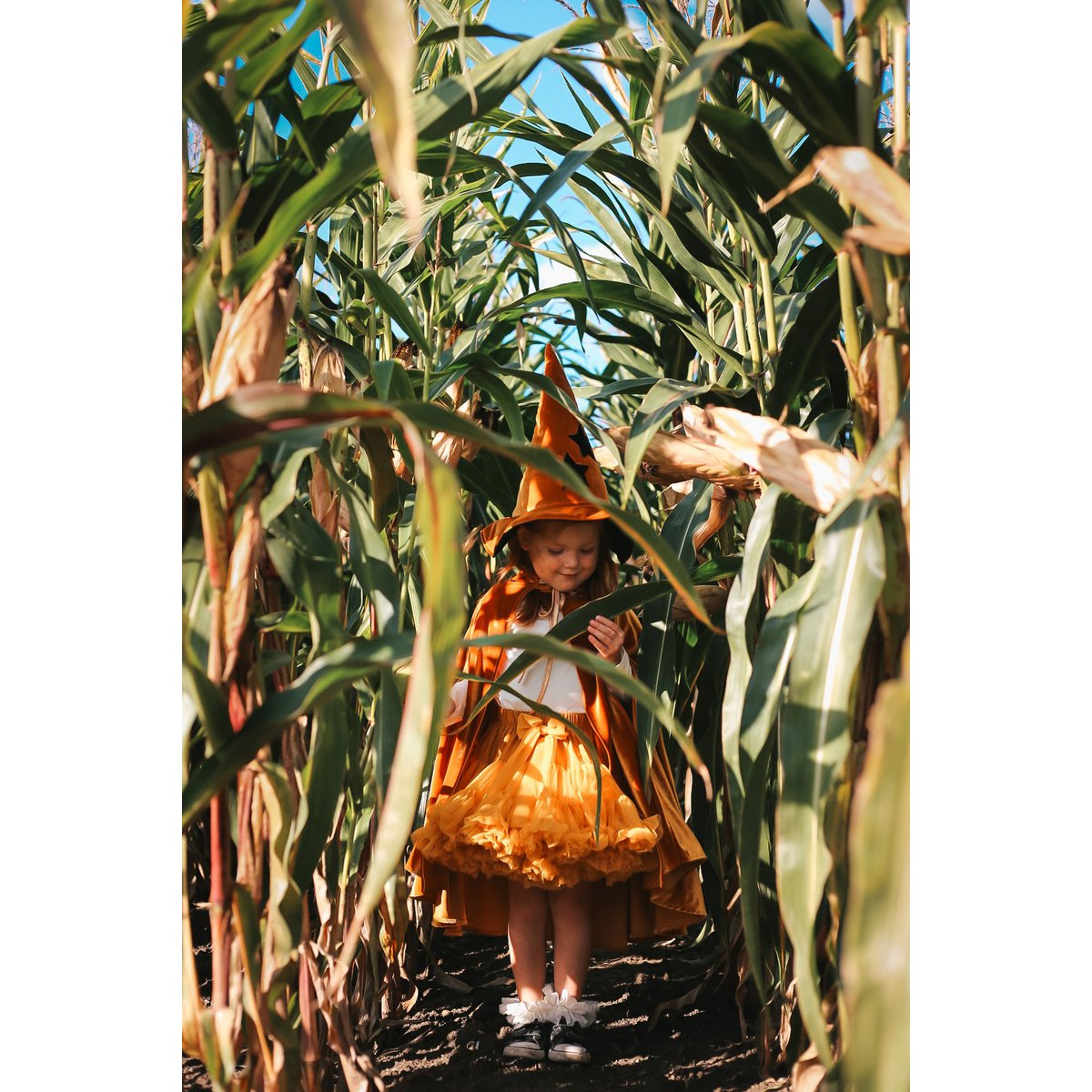 Witch Hat 'Golden Magic'