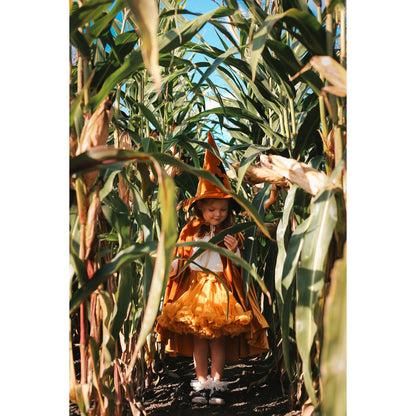 Witch Hat 'Golden Magic'