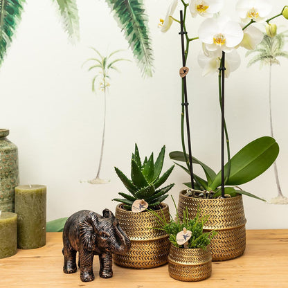 Groove Bloempot van Keramiek – Goud – Potmaat Ø9 cm