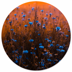 Muurcirkel blue dream blauw