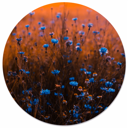 Muurcirkel blue dream blauw