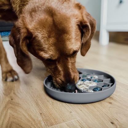 ne&no® Anti-Slopping Feeding Bowl for Dogs and Cats