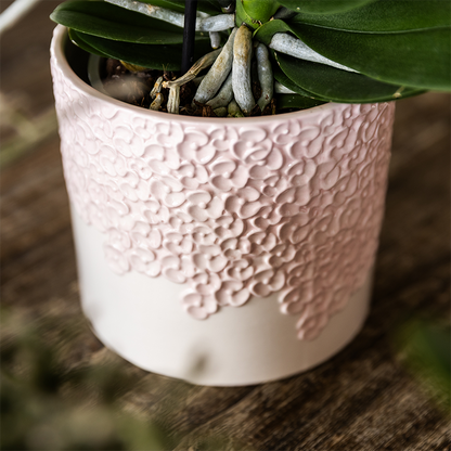Bloempot set roze 3 maten 6 9 12 cm