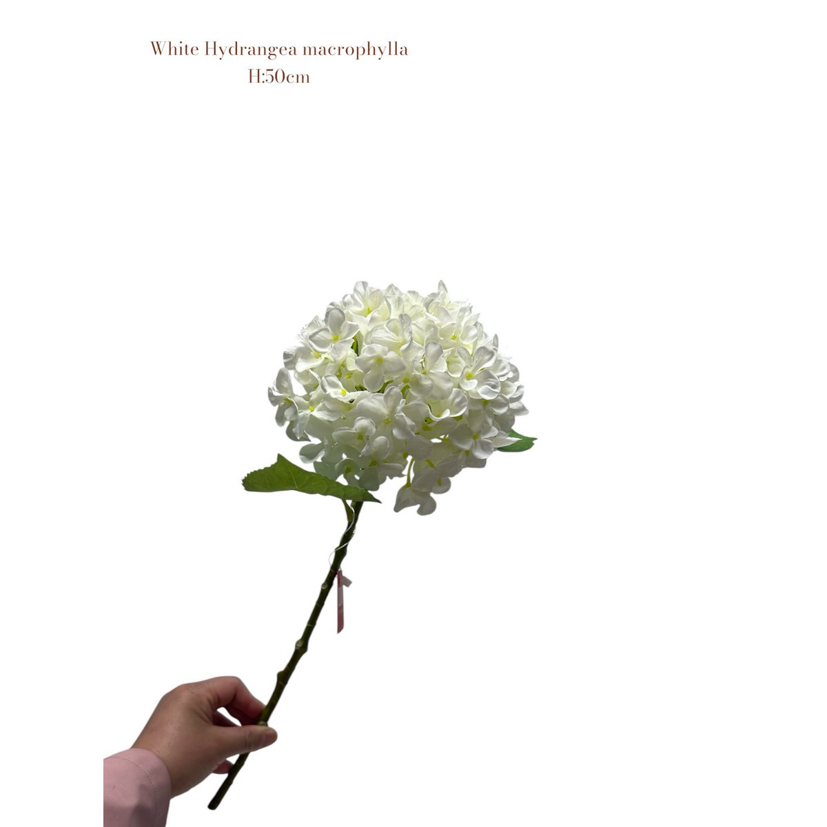 Kunstbloem Hydrangea Macrophylla Wit 50 cm