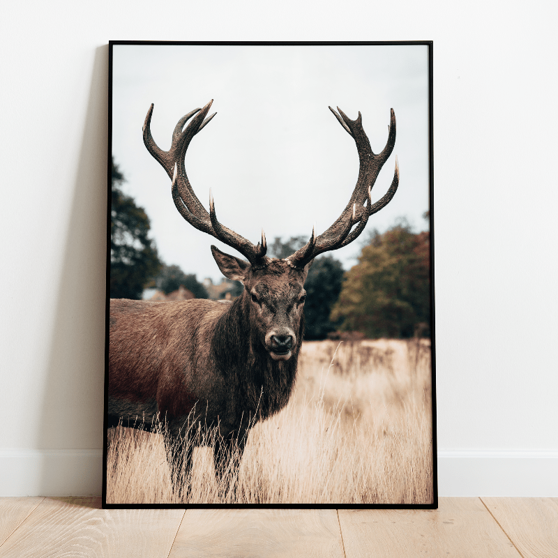 Poster reindeer