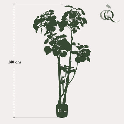 Kunstplant Polyscias Aralia 135 cm