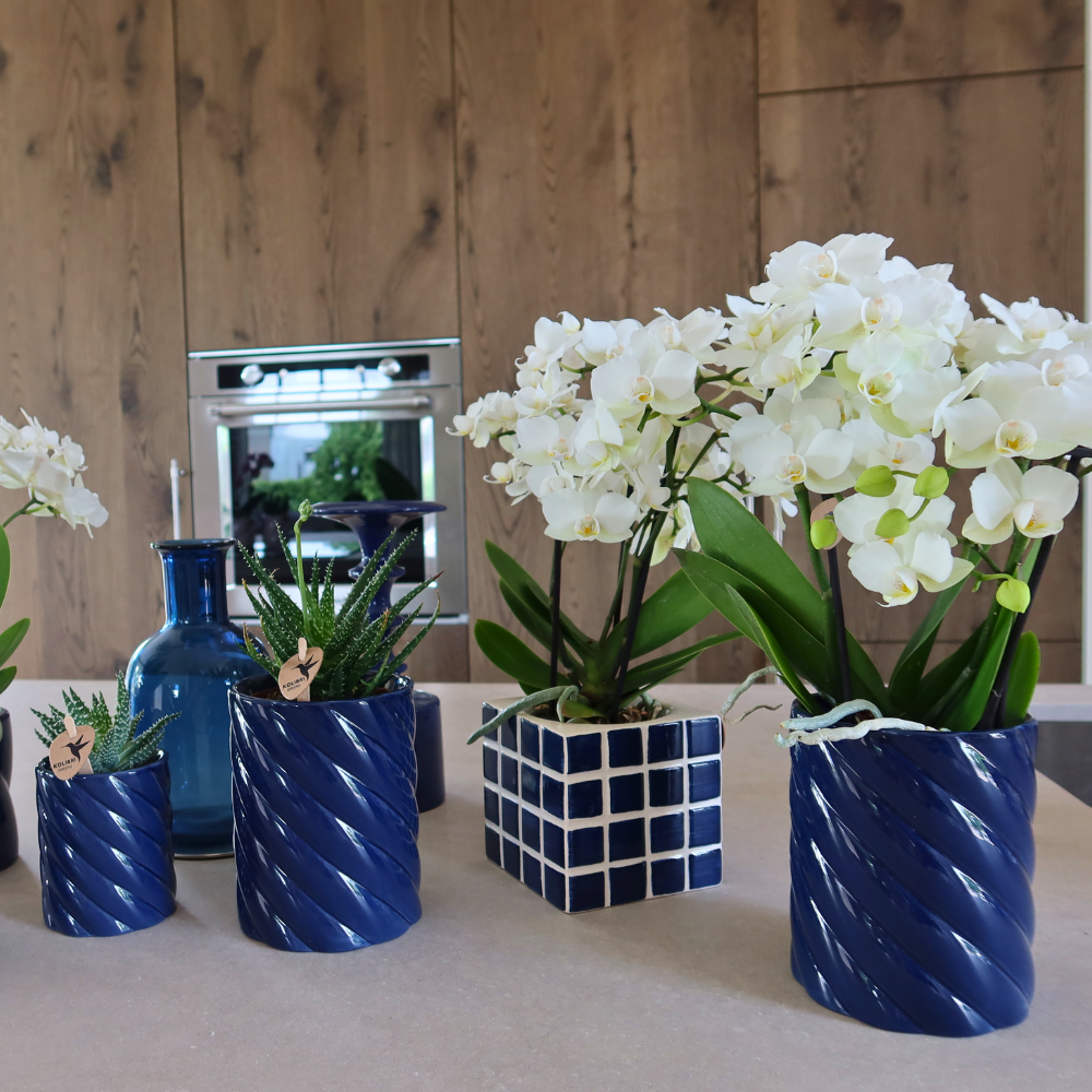 Blue Ceramic Decorative Pot Ø9 cm