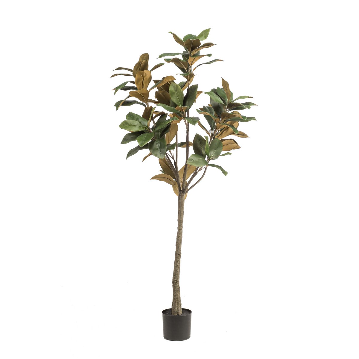 Kunstplant Magnolia Grandiflora 150 cm