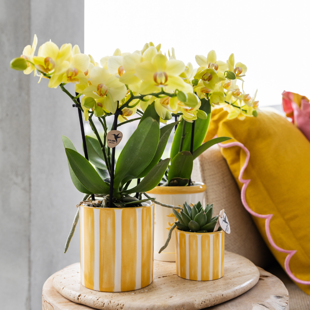 Yellow Ceramic Decorative Pot with Stripe - Ø9 cm
