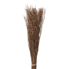 Droogboeket 80 cm beige