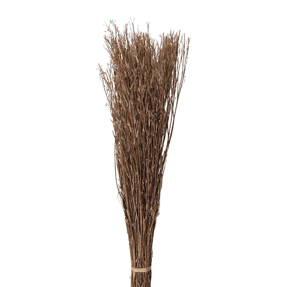 Droogboeket 80 cm beige