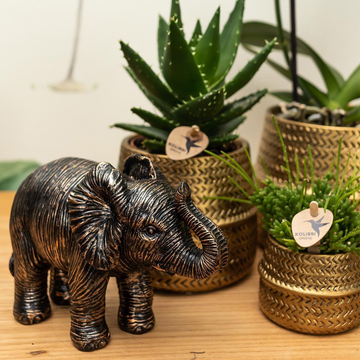 Groove Bloempot van Keramiek – Goud – Potmaat Ø9 cm