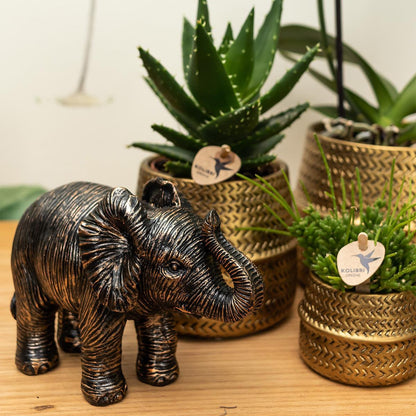 Groove Bloempot van Keramiek – Goud – Potmaat Ø9 cm