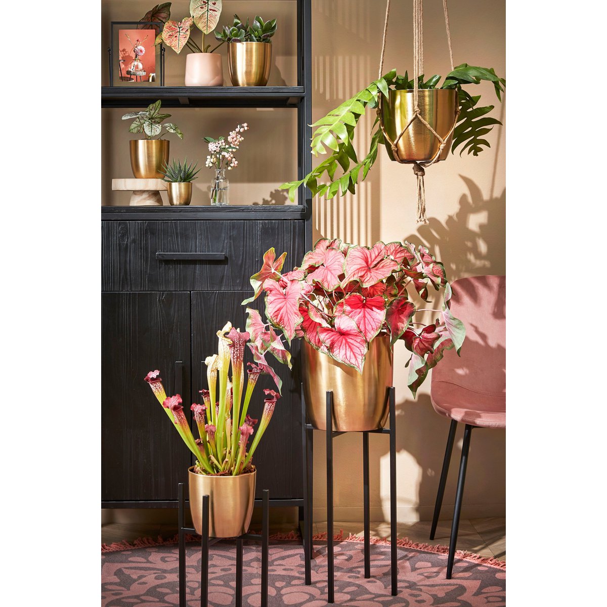 Bloempot Alano 22 cm goud ijzer