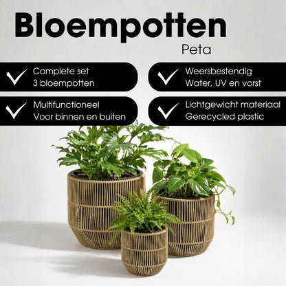 Bloempot set groen 3 stuks Ø22-36 cm plastic