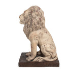Decorative Statue Lion 30x23x45 cm Beige Brown Magnesium (MGO)
