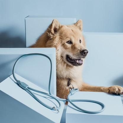 NE & No® Dog Leash "Loft Style" - Weatherproof