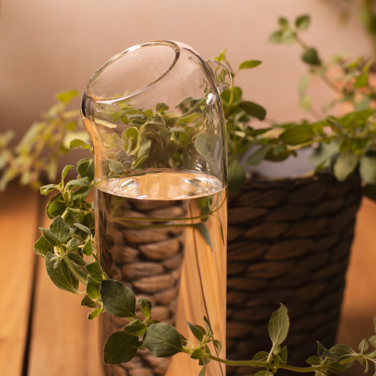 Plant Buddy - Glass Watering Can