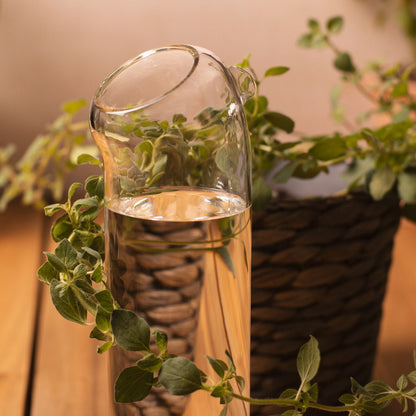 Plant Buddy - Glass Watering Can