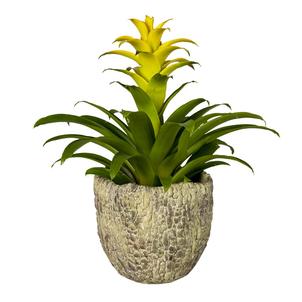 Bloempot Ø 20x18 cm groen keramiek