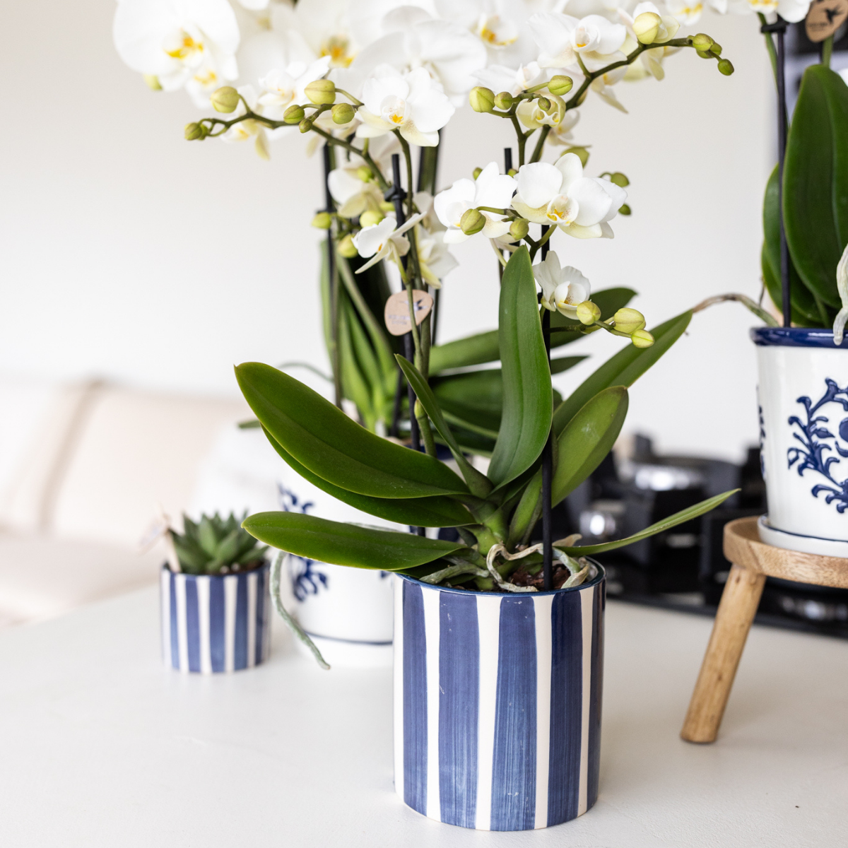 Ceramic Decorative Pot with Striped Pattern - Blue Ø9cm