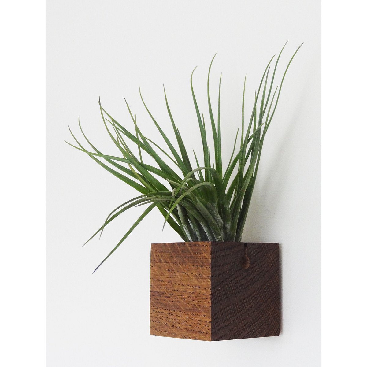 Cube - Dark oak