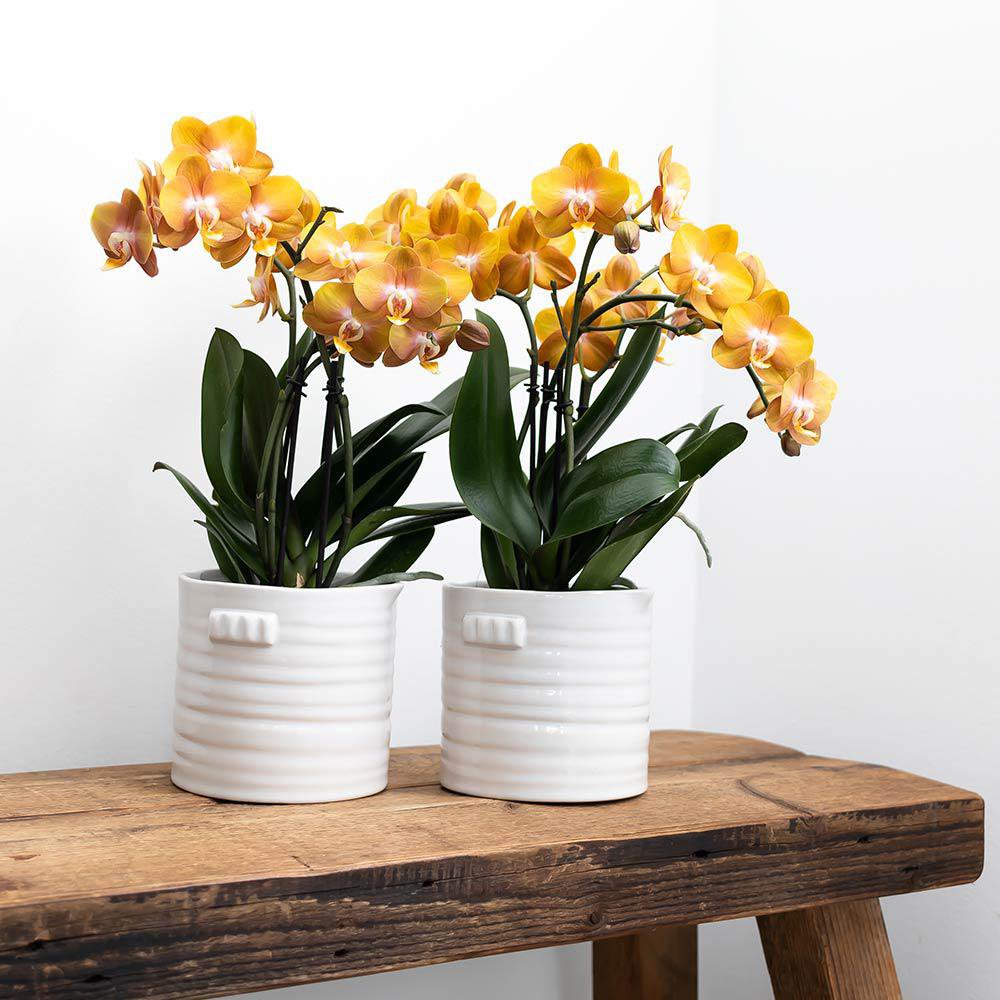 Handgemaakte Keramieken Bloempot Wit Ø9 cm