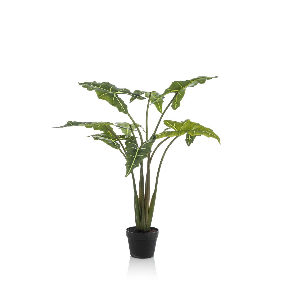 Kunstplant Alocasia Frydek 120 cm