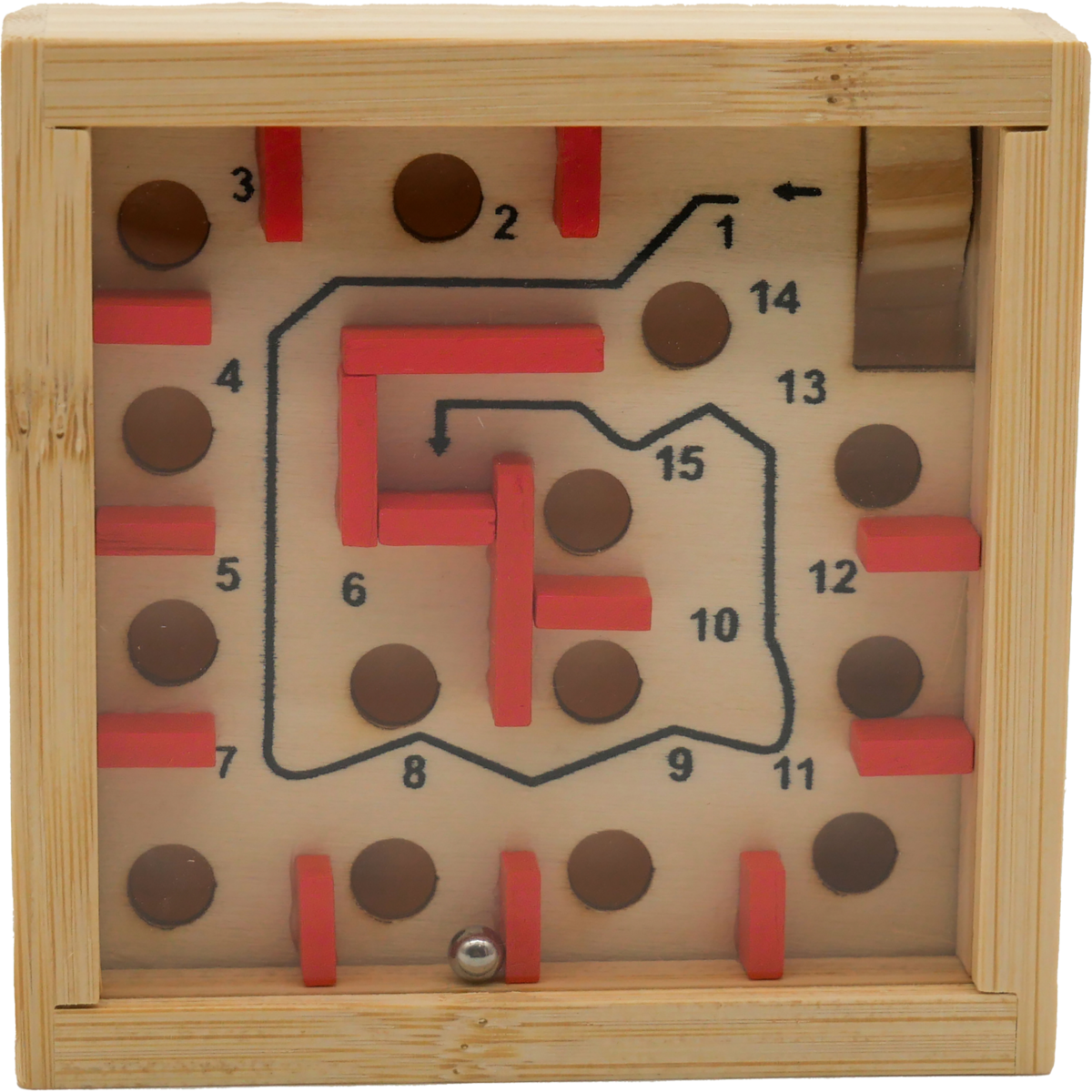 Brain Teaser The Great Coral Maze, Project Genius, EC302