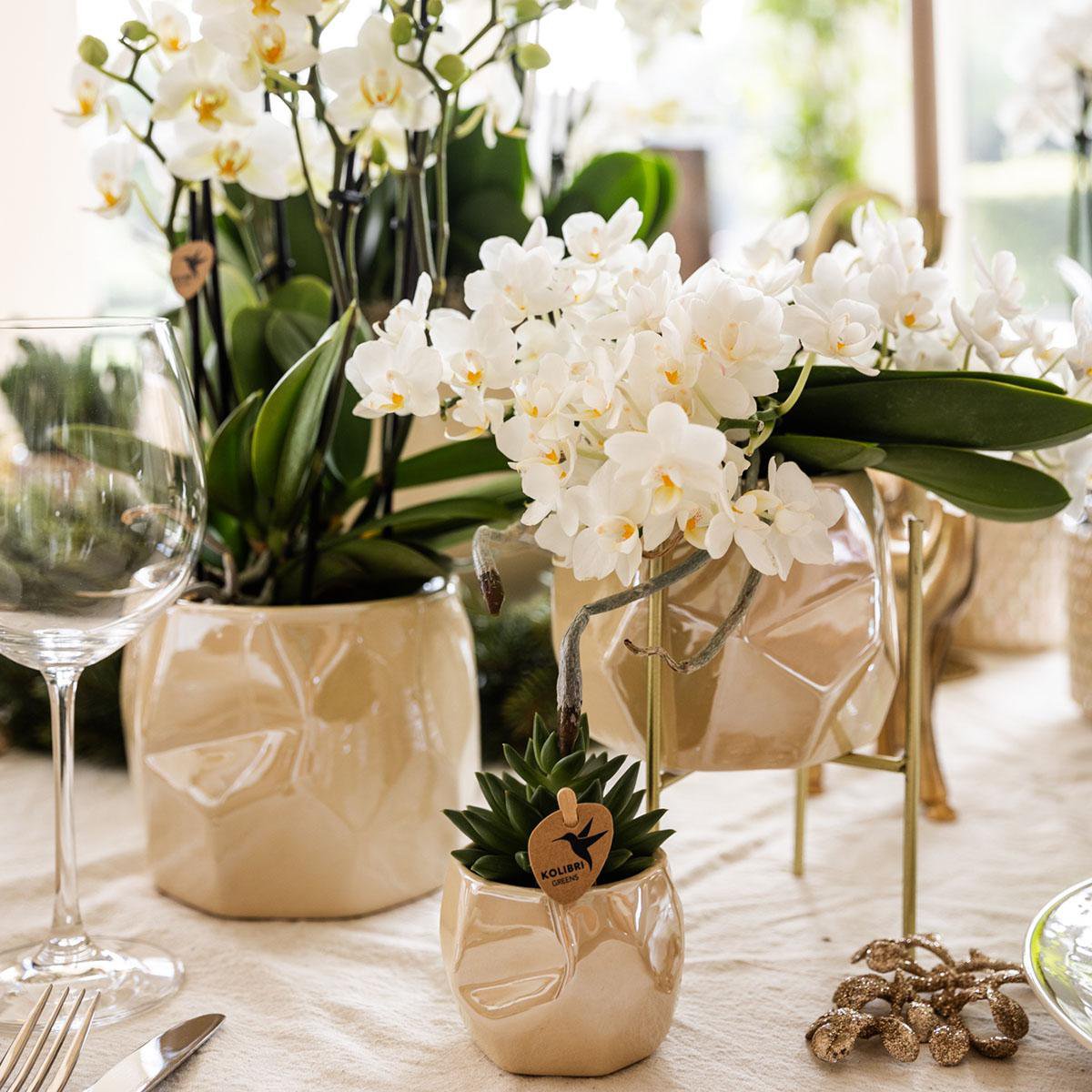 Set van 3 Bloempotten Pearl Travertine Kleur - Verschillende Maten