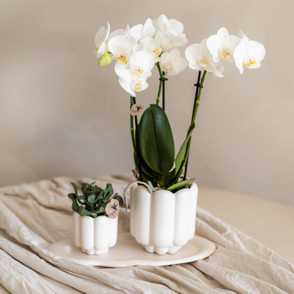 Ceramic Retro Decorative Pot White Ø6 cm