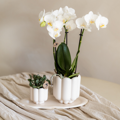 Ceramic Retro Decorative Pot White Ø6 cm