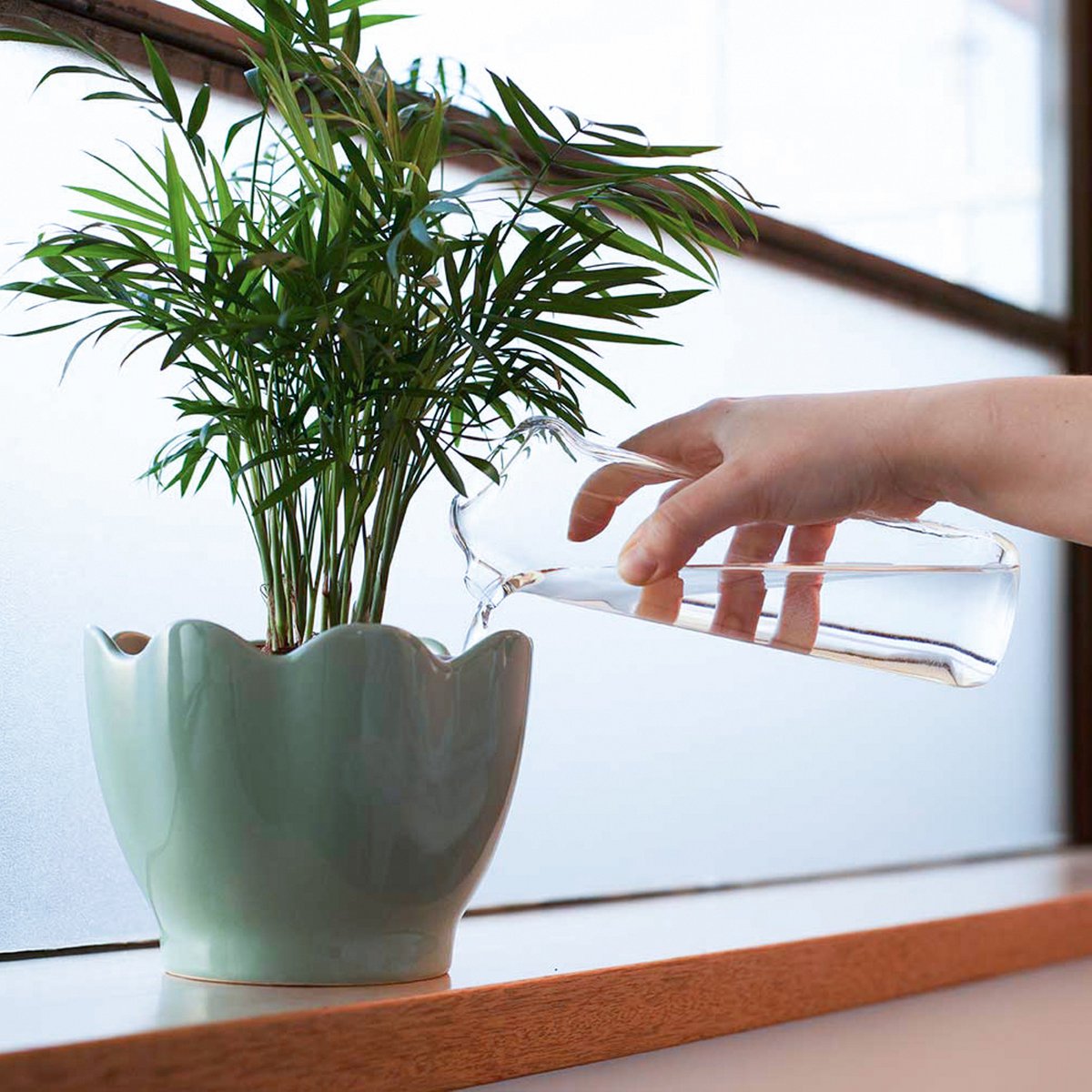Plant Buddy - Glass Watering Can