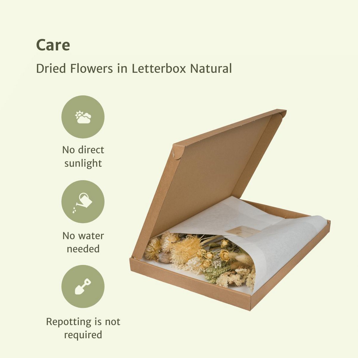 Droogbloemenmix natuurlijk