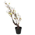 Artificial Plant Magnolia 16x14x60 cm White Plastic