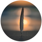 Muurcirkel feather beach Dibond 60 cm
